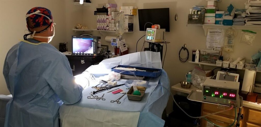 Trek Veterinary Surgery