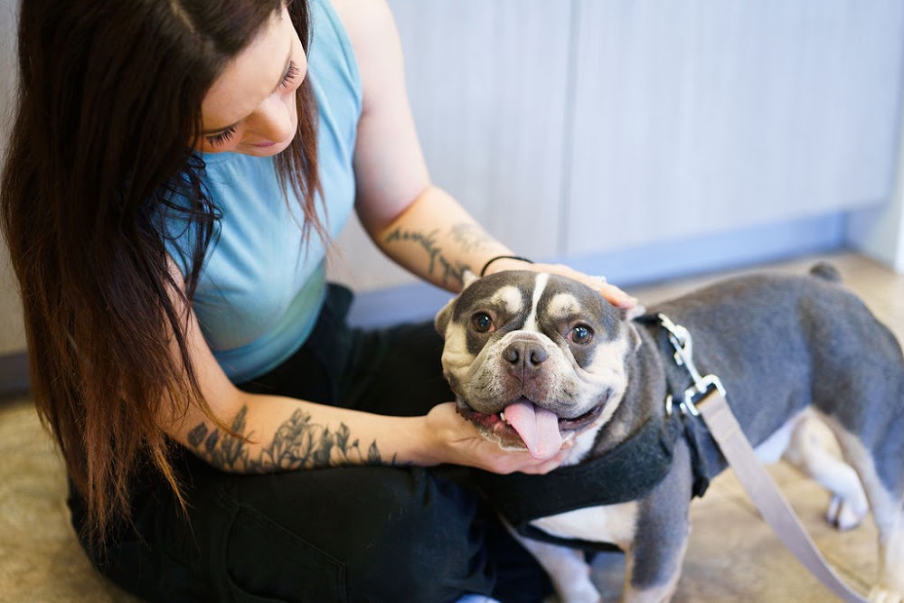 Dr. Kelly's Surgical Clinic - Denver