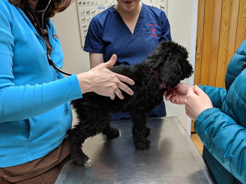 Wadsworth Animal Hospital