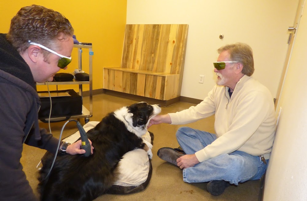Legacy Veterinary Clinic