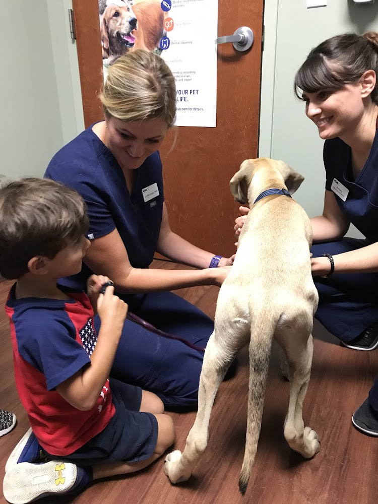 VCA Firehouse Animal Hospital