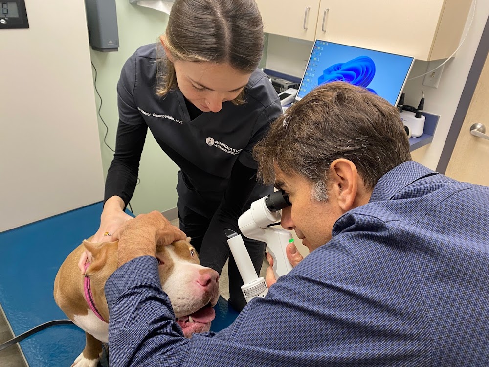 Mountain Star Veterinary Specialists