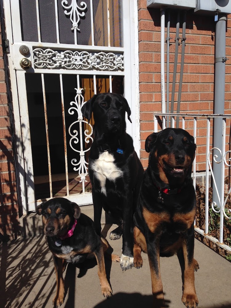Hampden Family Pet Hospital
