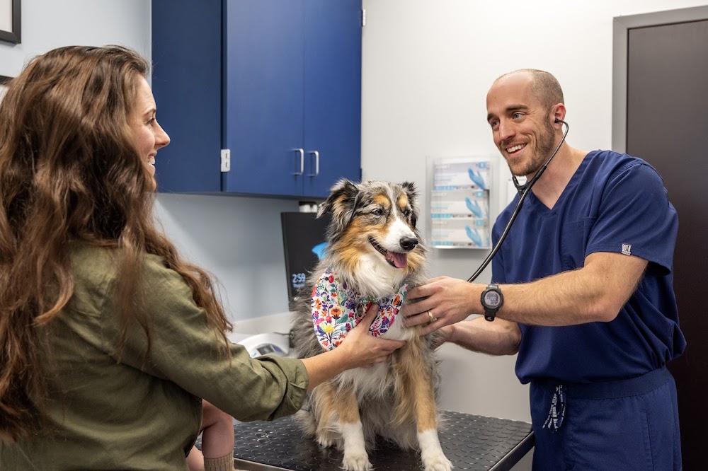 Livewell Animal Hospital of RiNo