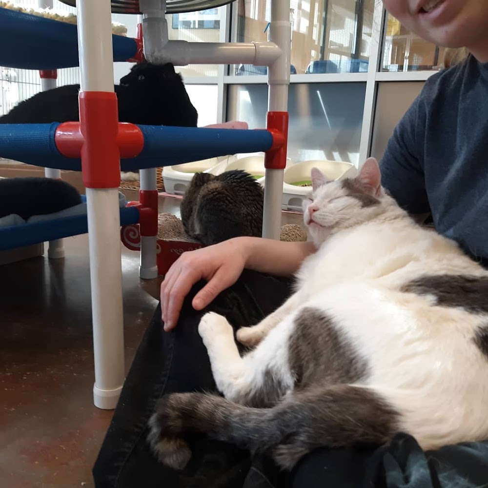 True Companions Animal Shelter & Clinic