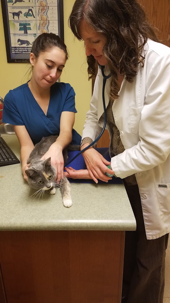 Park Animal Hospital and Wellness Center
