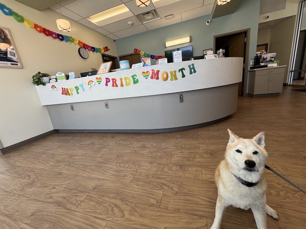 Founders Green Animal Hospital