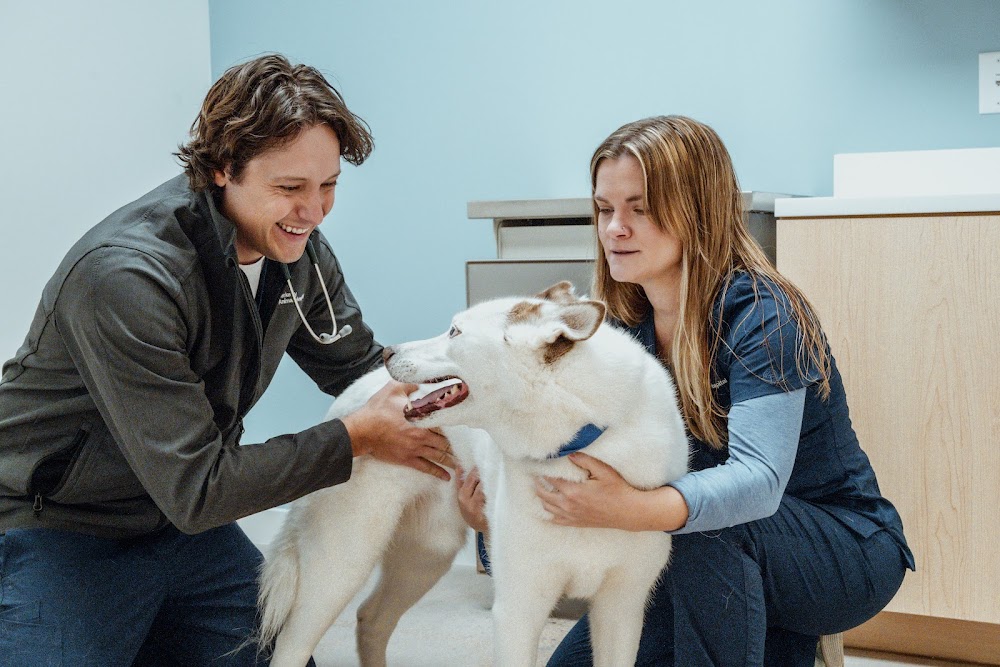 Berkeley Animal Hospital